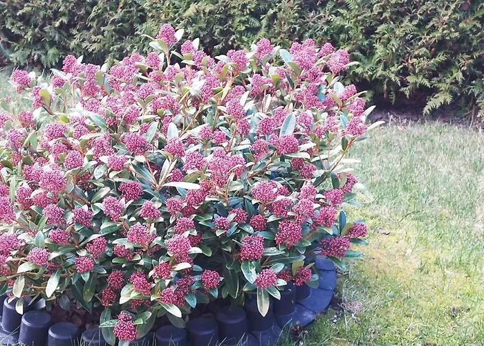 2 Quint * Altenkirchen (Mecklenburg-Vorpommern)